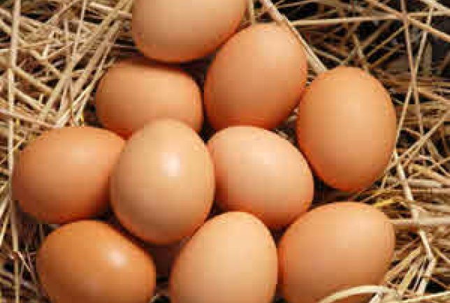 Chooks still available!