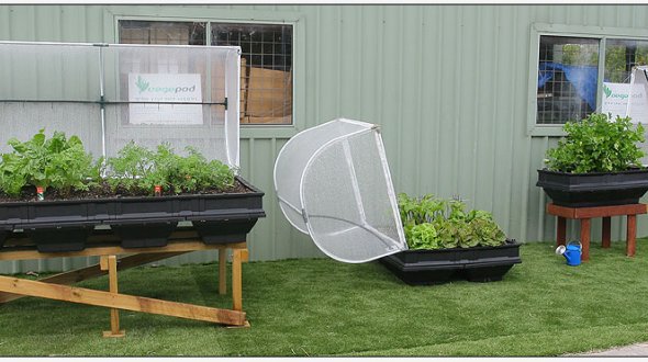 The Vegepod - complete vegetable gardening kit